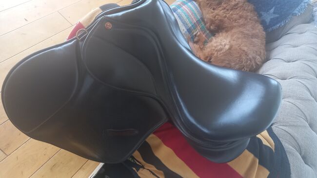 Saddle Company saddle GP brown 17", Saddle Company  GP, Lucinda Hayes , All Purpose Saddle, Southam 