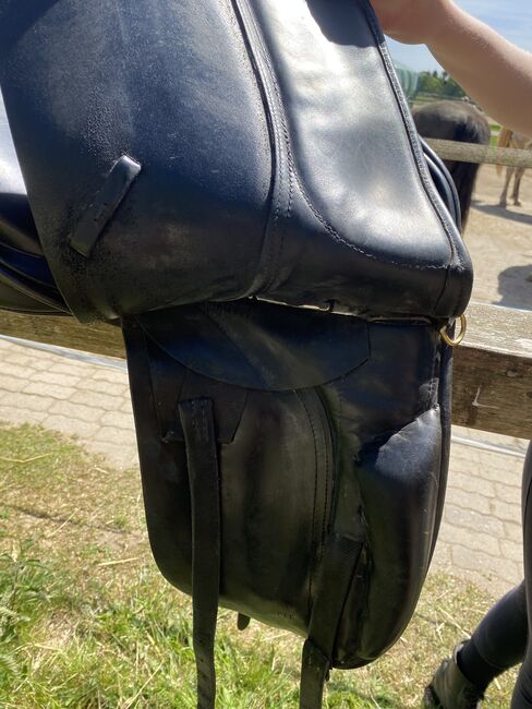 Sattel Dressur Euroriding Diamant, Euroriding Diamant, Anouk, Dressage Saddle, Bad Oldesloe, Image 11