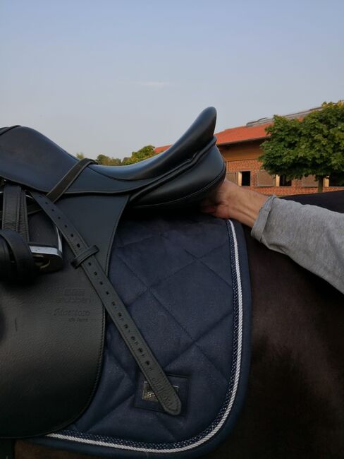 Sattel Dressursattel Stübben Maestoso de Luxe kaum genutzt, Stübben Stübben Maestose de Luxe, Danny, Dressage Saddle, Münster, Image 3