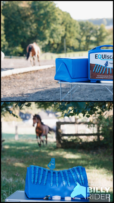 Sattelpassformkontrolle, EQUIscan, Meike Freischlader (Meike Freischlader-Pferdewirtin), Saddle Accessories, Löhne, Image 3