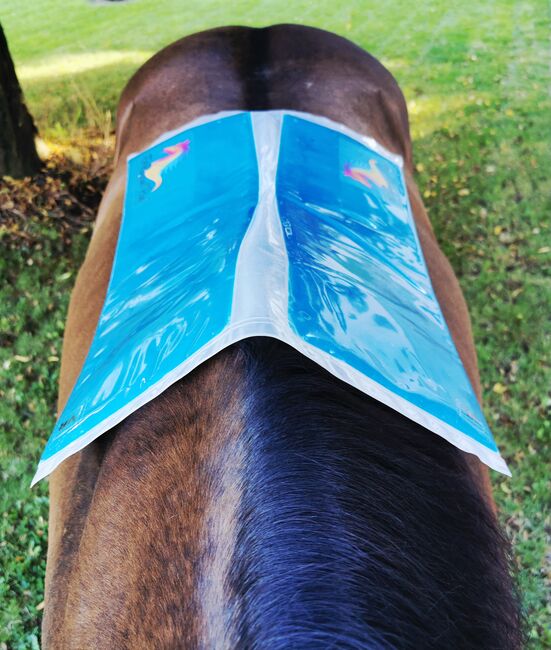 Sattelpassform Kontrolle, Sattel check, FitReveal Pad, DruckPad, FitReveal Pad individuelle Sattelpassform Kontrolle, FitReveal Pad (FitReveal Pad), Saddle Accessories, Aystetten