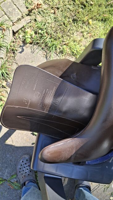 Sattel von SOMMER, Sommer , Angie, All Purpose Saddle, Bentwisch, Image 13