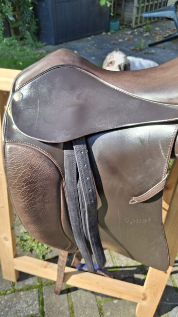 Sattel von SOMMER, Sommer , Angie, All Purpose Saddle, Bentwisch