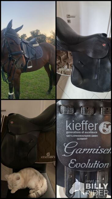 Sattel Kieffer Garmisch Evolution Exclusive VSS, Kieffer, Ansa, All Purpose Saddle, ST. JOHANN, Image 7