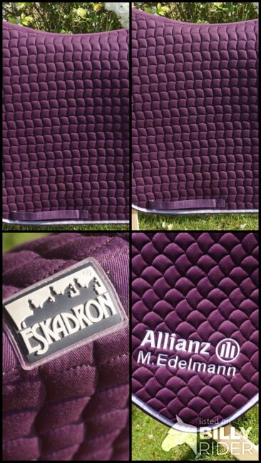 Schabracke Allianz lila, Maike Buge, Dressage Pads, Lutherstadt Wittenberg , Image 9