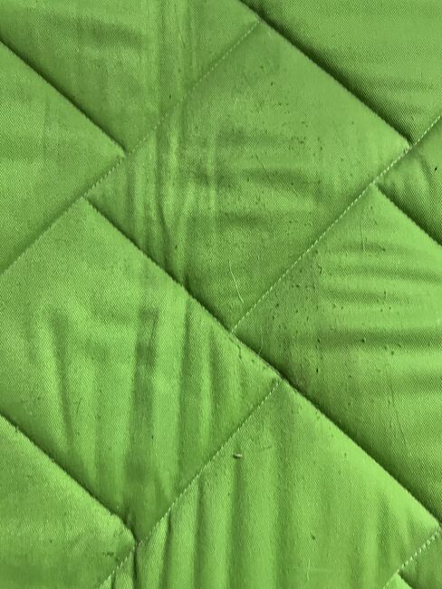 Schabracke Dressur, Sandra , Dressage Pads, Worms, Image 2