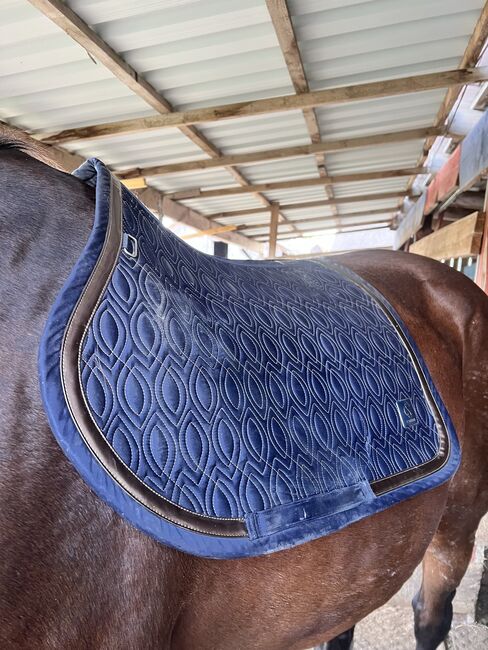 Schabracke ESKARDON VS, ESKARDON , Salomé, Dressage Pads, Nürnberg , Image 2