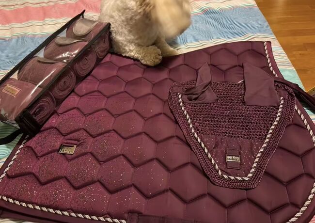 Schabracke, Felix Bühler  .., sophia, Dressage Pads, Fehraltorf 