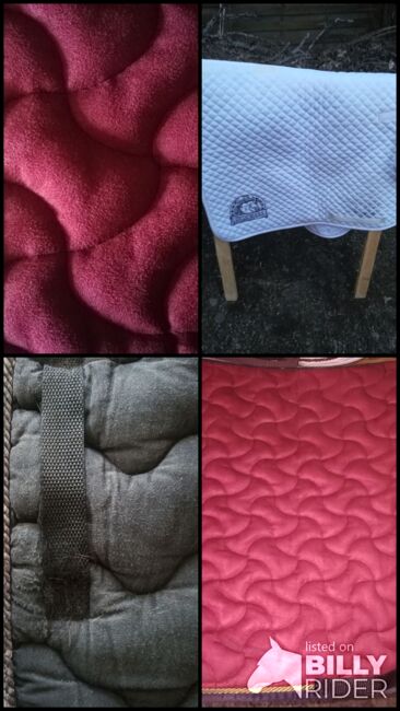 Schabracken Set, Pfiff, cavallo, kavalkade, etc Dressur+VS, Jenny, Dressage Pads, Argenbühl, Image 14