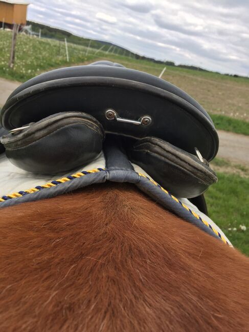 Sattel, Pony, Haflinger, Isländer, Wanderreitsattel, HGG, Daniela, Other Saddle, Meinerzhagen , Image 9