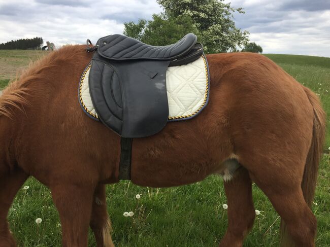 Sattel, Pony, Haflinger, Isländer, Wanderreitsattel, HGG, Daniela, Other Saddle, Meinerzhagen , Image 13