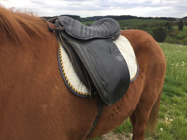 Sattel, Pony, Haflinger, Isländer, Wanderreitsattel, HGG, Daniela, Other Saddle, Meinerzhagen , Image 14