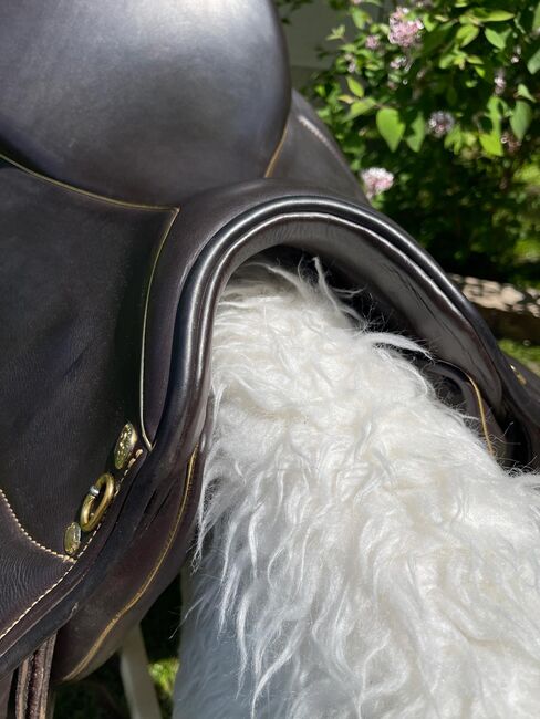 Sattel Sommer „Dressursattel Minos“ 17,5 Zoll - Dunkelbraun mit Gold, Sommer Minos, Sandra, Dressage Saddle, Ilmenau, Image 5