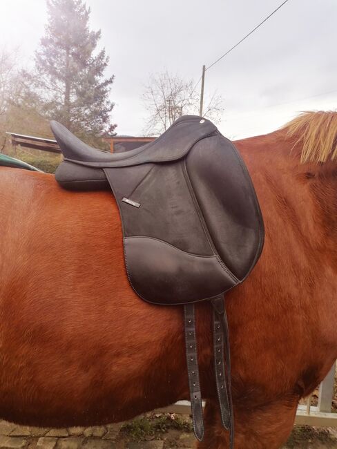 Sattel Wintec Dressur Isabell Werth, Wintec Isabell Werth Dressur, Hammes, Dressage Saddle, Mehring