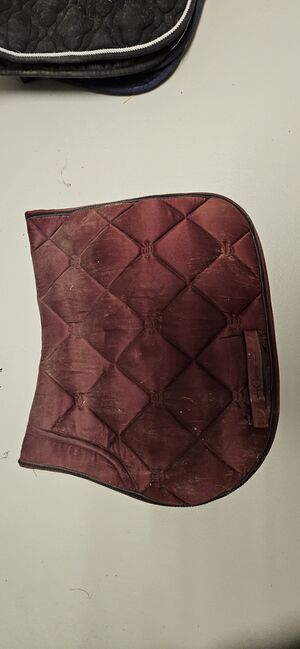 Schabracken, Ramona, Dressage Pads, Oberhallau, Image 4