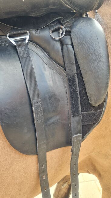 Sattel 17 1/2 Kent & Masters, Kent &  Masters , Silvia, Dressage Saddle, Reimlingen, Image 3