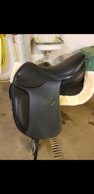 Sattel Amerigo Vega icelandic, Amerigo Vega icelandic, Julia Reitberger , Icelandic Saddle, Roßwein