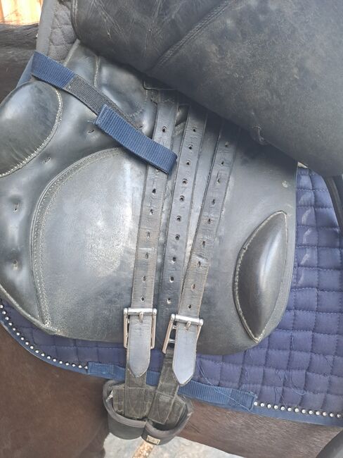 SADDLE Kentaur, Kentaur Jupiter, Neja, All Purpose Saddle, tolmin, Image 4