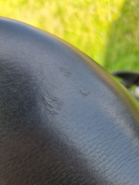 Sattel * Dressursattel * Sommer * Ibero Dressage, Sommer Ibero Dressage, Nicole Bussmann , Dressage Saddle, Greven, Image 16