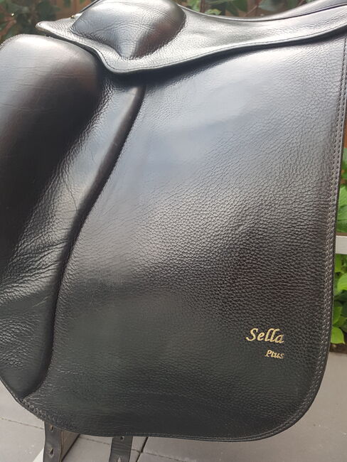 Sattel Eques Sella Plus17,5, Eques Sella Plus, Marion, Icelandic Saddle, Bergischen Gladbach, Image 6