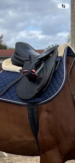 Springsattel, Paula Rosada, Jumping Saddle, Rackwitz