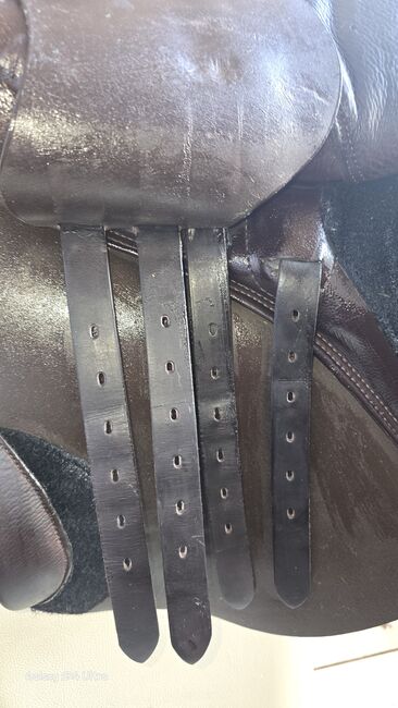 Springsattel, Stübben  Phönix Elite , chrizzl , Jumping Saddle, Teutschenthal , Image 7