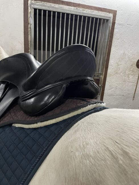 Sattelglück Dressursattel ‚Penelope‘ 17,5“, Sattelglück  Penelope, Jacqueline, Dressage Saddle, Schwedelbach