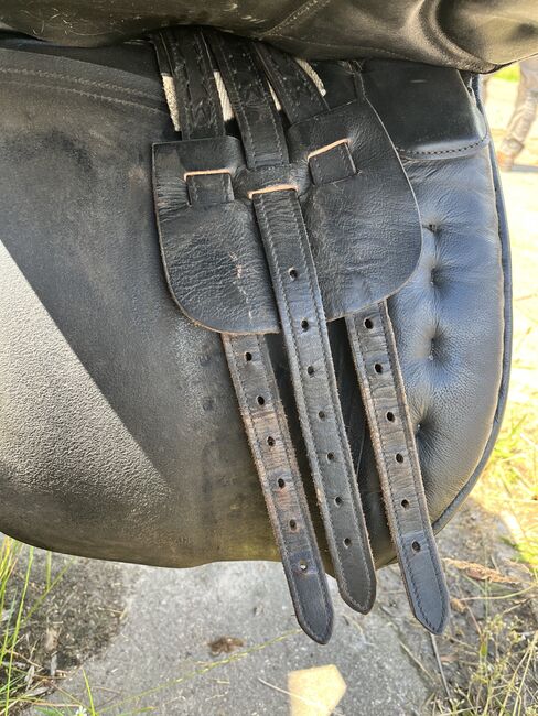 Sattel Kaltblut, Loesdau Goliath, Amy, Other Saddle, Hille, Image 5