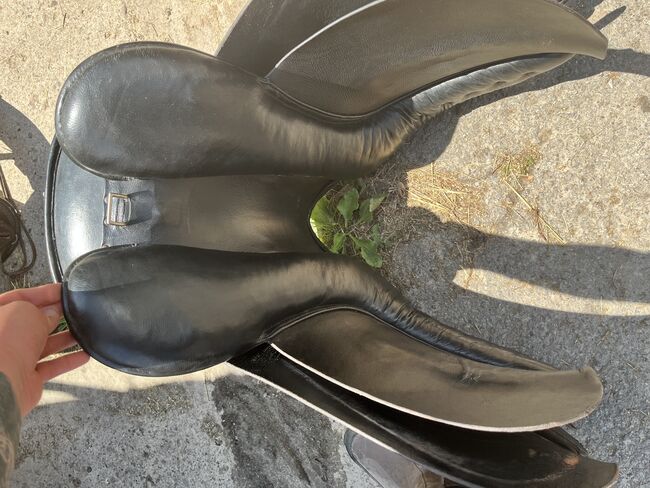 Sattel Kaltblut, Loesdau Goliath, Amy, Other Saddle, Hille, Image 6
