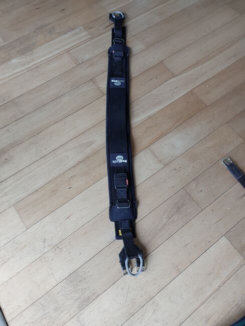 Damensattel, Melanie Heindl , Other Saddle, Tuttlingen, Image 6