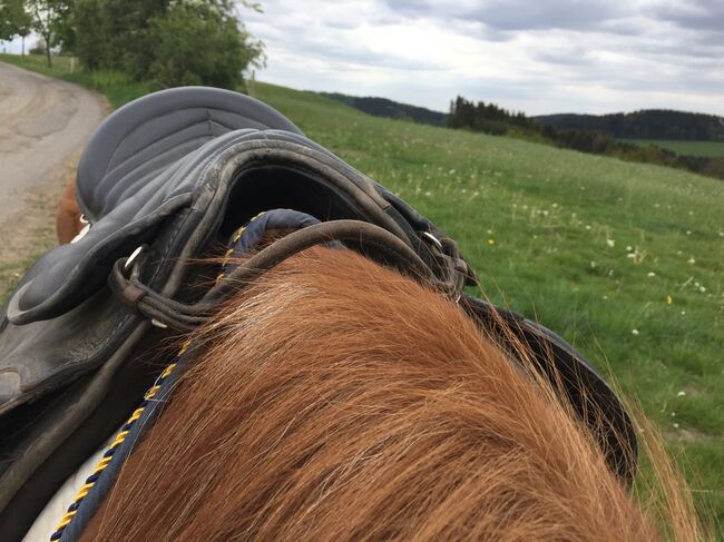 Sattel, Pony, Haflinger, Isländer, Wanderreitsattel, HGG, Daniela, Other Saddle, Meinerzhagen , Image 3