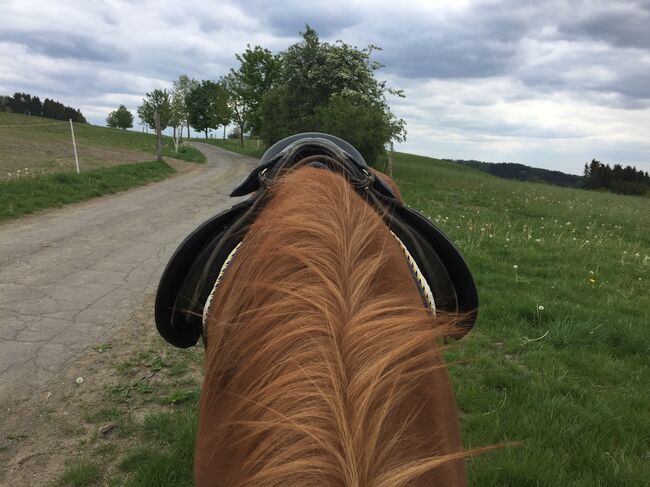 Sattel, Pony, Haflinger, Isländer, Wanderreitsattel, HGG, Daniela, Other Saddle, Meinerzhagen , Image 12