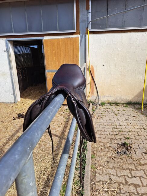Sattel WOW Classic  VSS 17 Zoll, WOW Classique , Sandra Hofmann, All Purpose Saddle, Dittellbrunn, Image 3