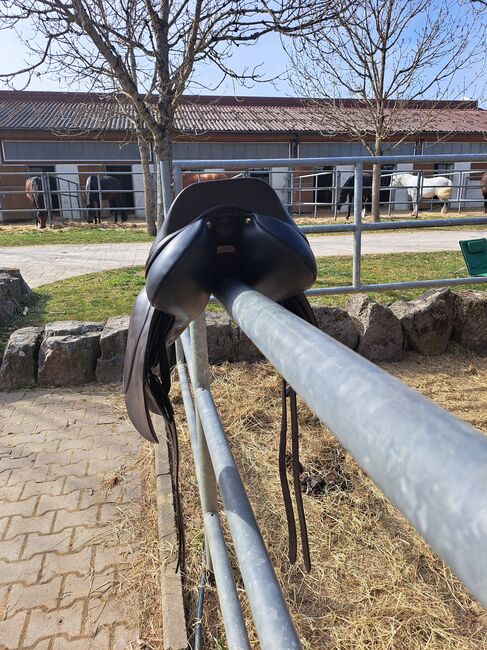 Sattel WOW Classic  VSS 17 Zoll, WOW Classique , Sandra Hofmann, All Purpose Saddle, Dittellbrunn, Image 4
