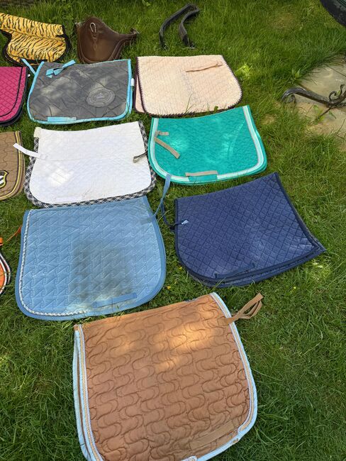 Schabracken, Anja , Dressage Pads, Hamm, Image 2