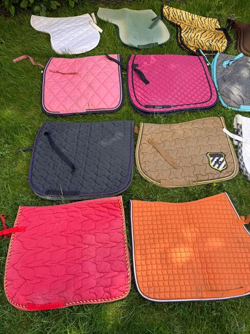Schabracken, Anja , Dressage Pads, Hamm, Image 3