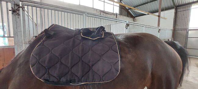 Schabracken, Claudia , Dressage Pads, hoort, Image 2