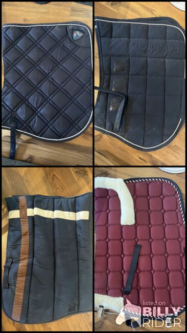 schabracken vs, dorothea posch , Dressage Pads, mistelbach , Image 7