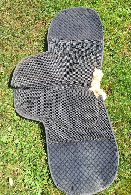 Satteldecke DR,Moosgummi,antirutsch,antislip,Grip Pad,N, Barnsby  Grip Pad, I. M., Dressage Pads, Celle, Image 3