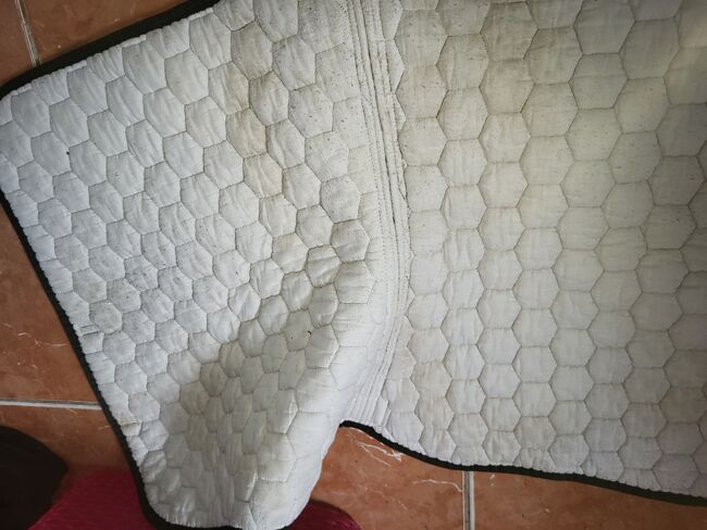 Schabracke, Melanie , Dressage Pads, Herzogenrath , Image 2