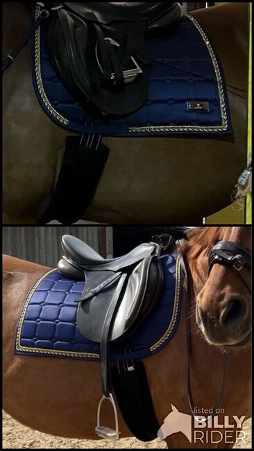 Schabracke Dressur, Equestbun, Heleen , Dressage Pads, Scharnebeck, Image 3