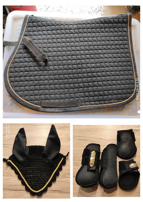 Schabracke, Eskadron, Showmaster, Michaela Rußwurm, Dressage Pads, Gresten