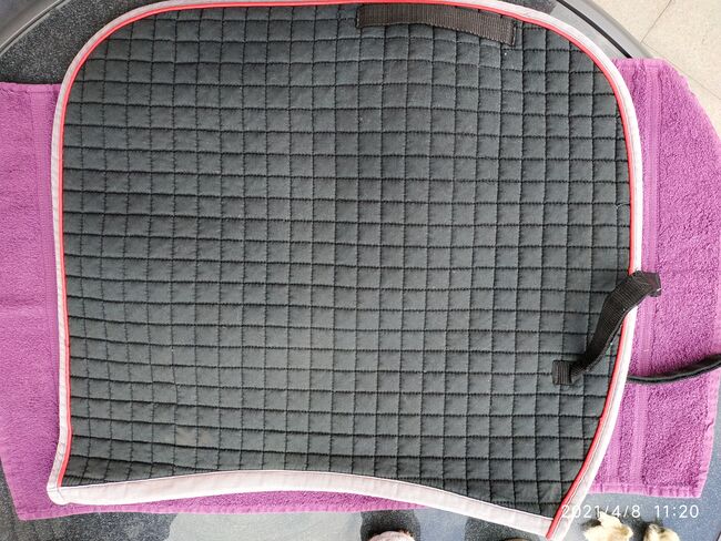 Schabracke Horze, Horze Dressur, Pummeleinhorn, Dressage Pads, Viernheim