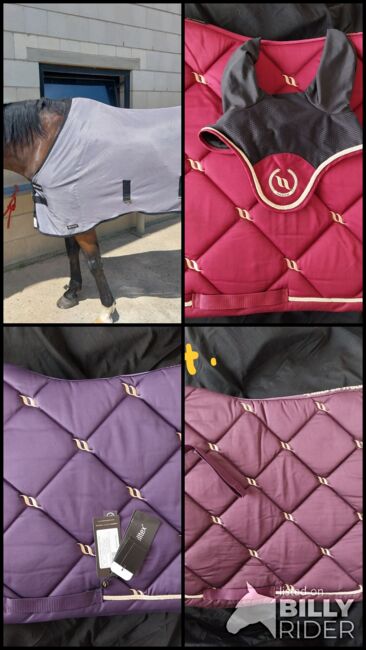Verkaufe verschiedene Sachen von Back on Track, Pinzgauer, Dressage Pads, Weil am Rhein , Image 6