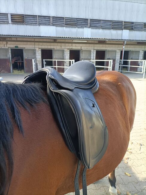 Verkaufe Dressursattel Tech1, Tech1, Angelika, Dressage Saddle, Schwetzingen , Image 13