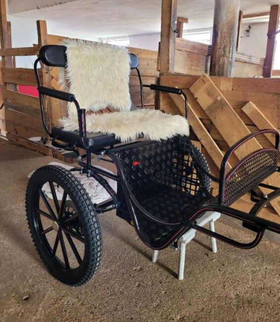 Verkaufe schönen neuen Gig, Gig, Jenny, Carriages, Perg