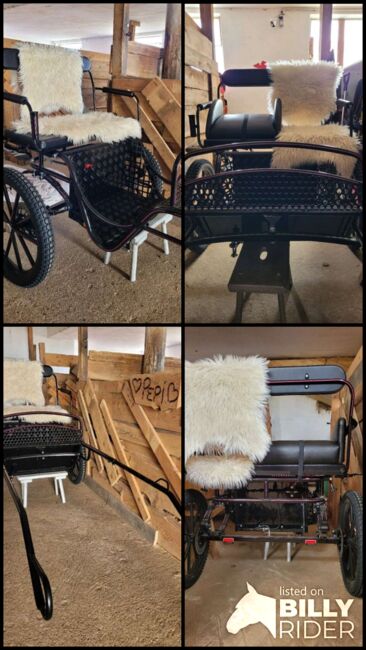 Verkaufe schönen neuen Gig, Gig, Jenny, Carriages, Perg, Image 5