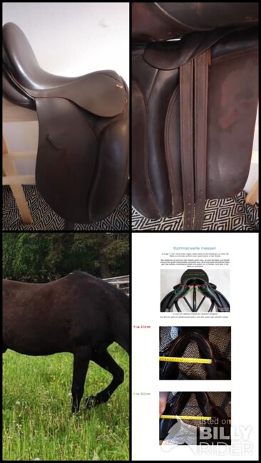 Verkaufe dunkelbraunen Dressursattel, Neuss Premium, RSeidl, Dressage Saddle, Ober Rosenauerwald, Image 12