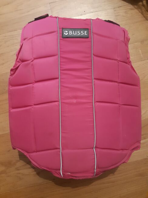 Sicherheitsweste Level 3, Busse, Anja Dinter, For Riders, Gaienhofen, Image 2