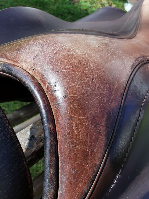 Santa Cruz VS Sattel 17,5 Zoll braun, Santa Cruz, Maureen, All Purpose Saddle, Breidenbach, Image 3